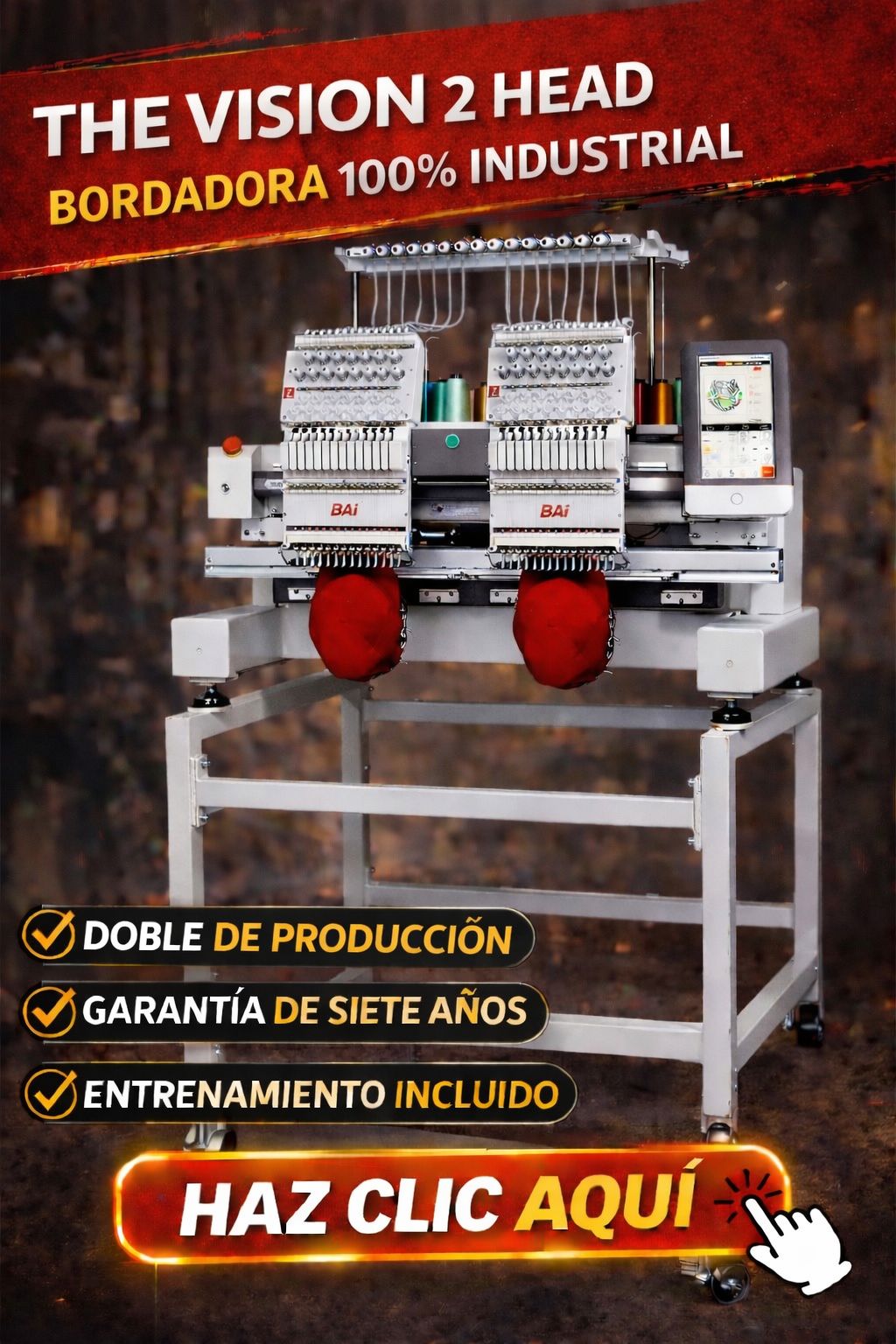 THE VISION BAI 2 HEAD